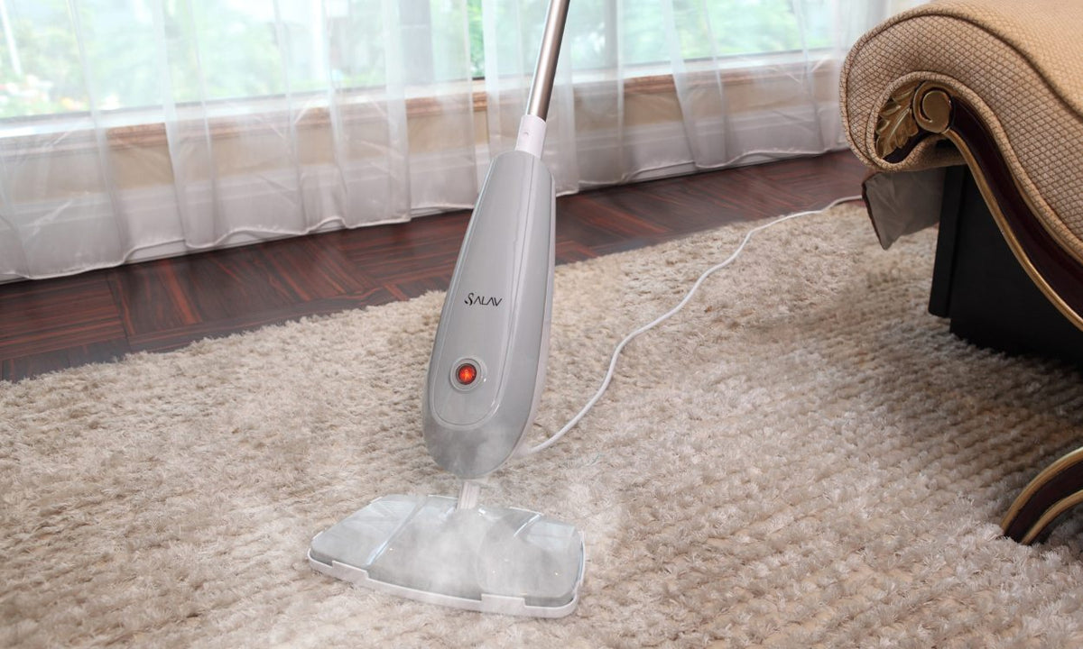 How to Clean a Rug with a Steam Cleaner | Maloumian Rugs USA – Roys Rugs