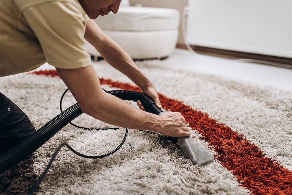 How to Clean a Wool Rug: Maloumian Rugs – Roys Rugs