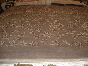 Contemporary 9 x 10 Brown Discount Rug #51170