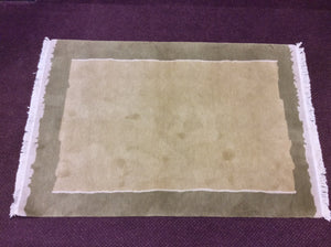 Contemporary 4 x 6 Beige Discount Rug #51007