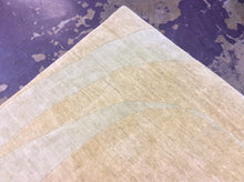 Load image into Gallery viewer, Contemporary 8&#39;2 x 11&#39;6 Beige Discount Rug #38786